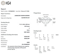 4.03 Carats | The Custom Tri- Cut Diamond by UbyKate