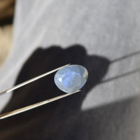 The Indigo Ring | Indigo No. 04