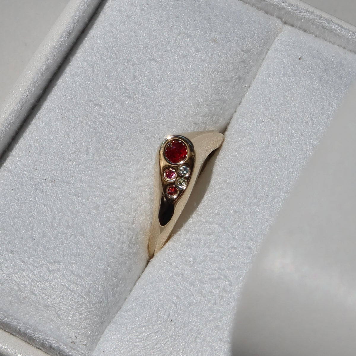 The Living Signet Ring | Medium Band